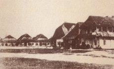 1949 Rynek-w-Jozefowie-1916