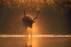 1 miejsce_Przyroda_Agnieszka Florczyk