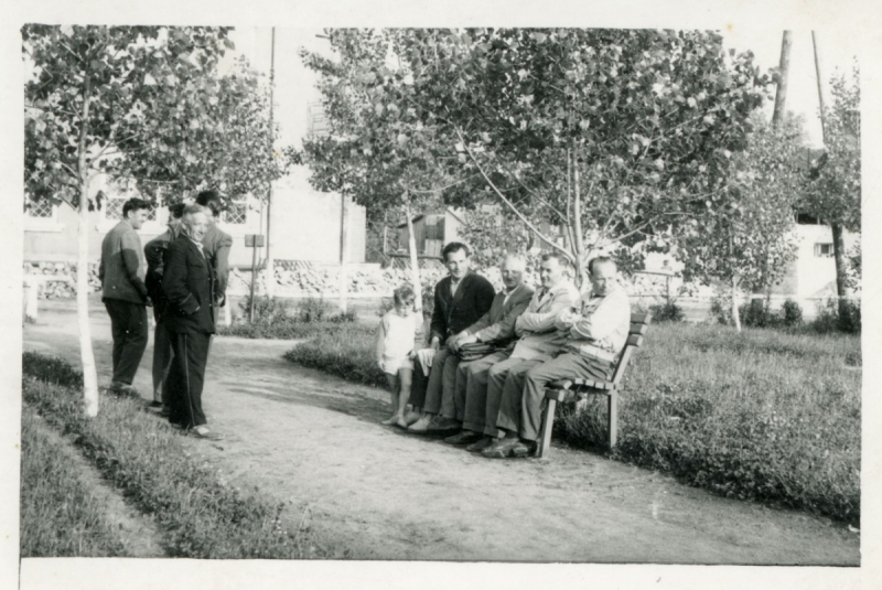 1057_Park w Józefowie.    