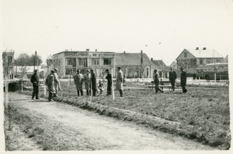 1058_Park w Józefowie. 