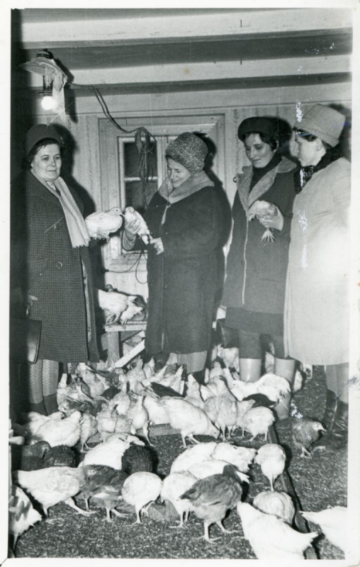 1172_Wystawa Rolnicza. 