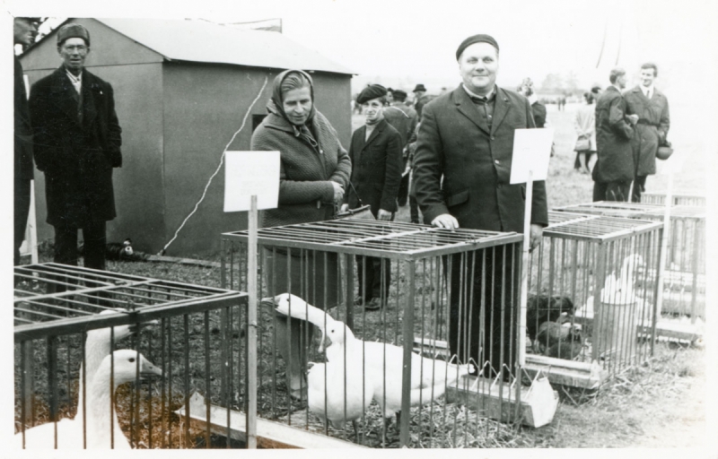 1174_Wystawa Rolnicza. 