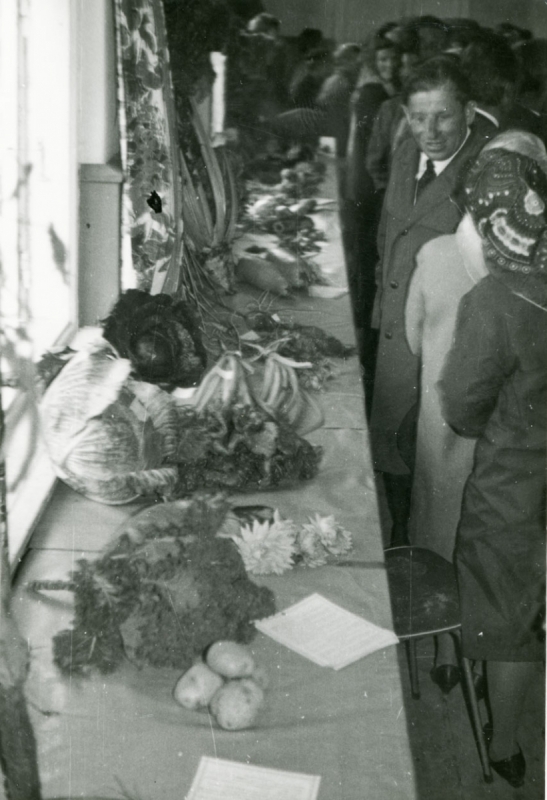 1177_Wystawa Płodów Rolnych. 