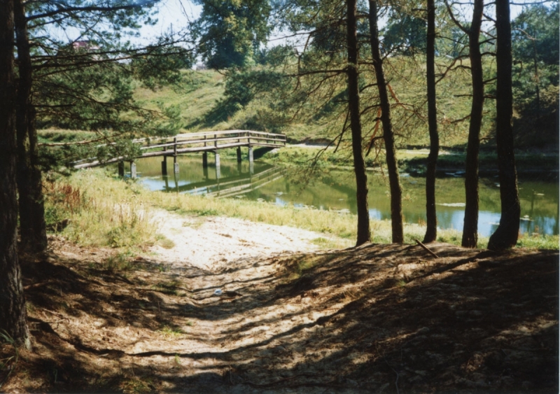 1303_Kładka przy Źródłach Nepryszki.