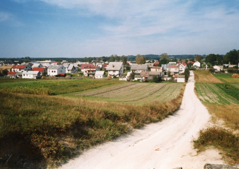 1309_Widok na Józefów.