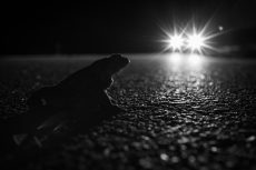 2 miejsce_My i przyroda_Łukasz Gwiździel