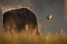 2 miejsce_Przyroda_Jakub Woźny