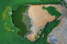 3 miejsce_My i przyroda_Piotr Tamborek