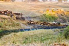 Wyróżnienie_Przyroda_Edyta Chrząszcz