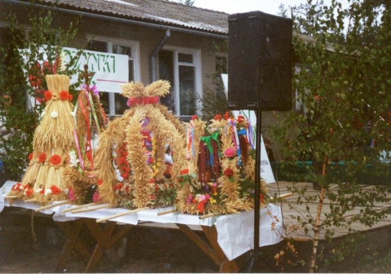 010 Dożynki 1994 Borowina.