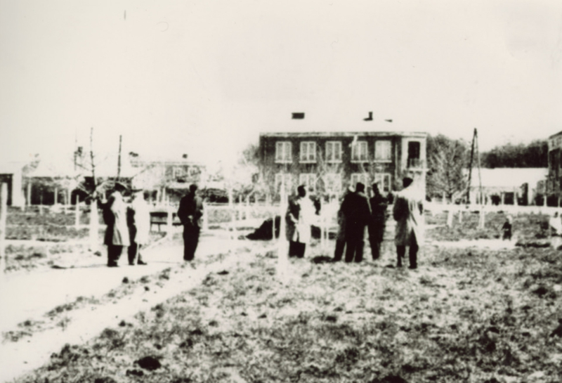 1777-1776-Park-i-ulica-Bartoszewskiego-lata-60-te