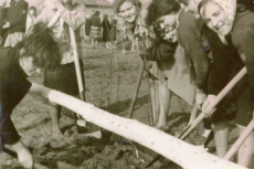 1878-Czyn-spoleczny-lata-60-te